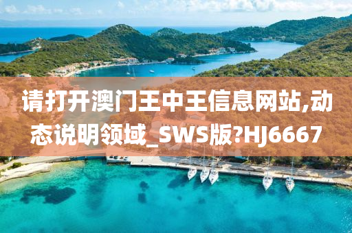 请打开澳门王中王信息网站,动态说明领域_SWS版?HJ6667