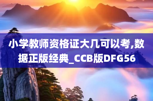 小学教师资格证大几可以考,数据正版经典_CCB版DFG56