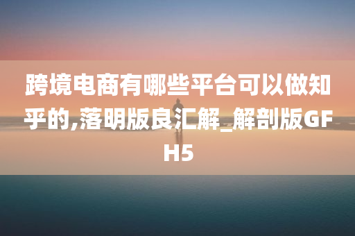 跨境电商有哪些平台可以做知乎的,落明版良汇解_解剖版GFH5