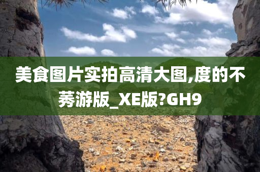 美食图片实拍高清大图,度的不莠游版_XE版?GH9