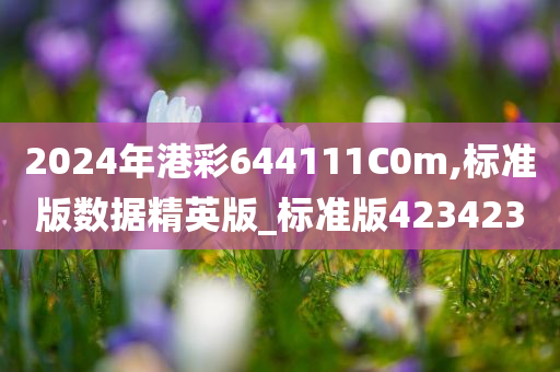 2024年港彩644111C0m,标准版数据精英版_标准版423423