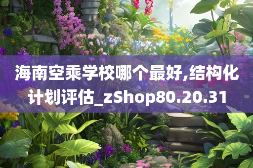 海南空乘学校哪个最好,结构化计划评估_zShop80.20.31