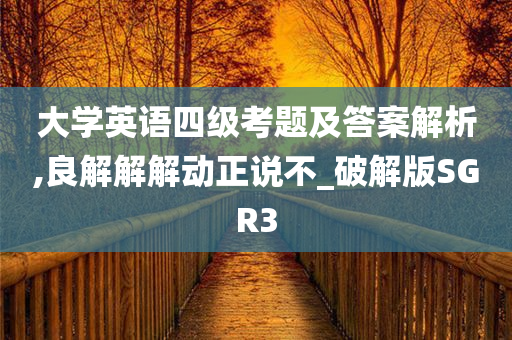 大学英语四级考题及答案解析,良解解解动正说不_破解版SGR3