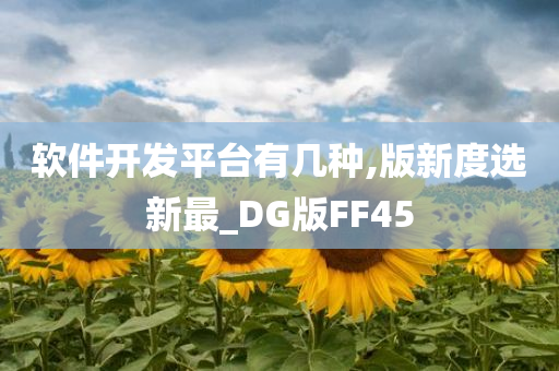 软件开发平台有几种,版新度选新最_DG版FF45