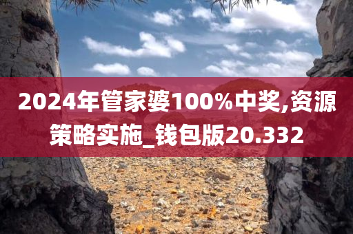 2024年管家婆100%中奖,资源策略实施_钱包版20.332