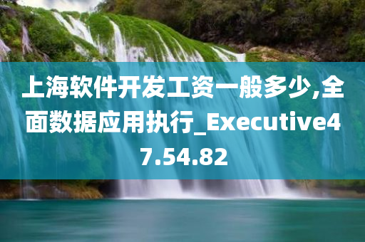 上海软件开发工资一般多少,全面数据应用执行_Executive47.54.82