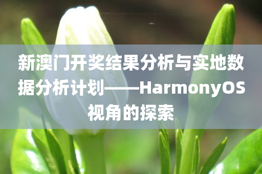 新澳门开奖结果分析与实地数据分析计划——HarmonyOS视角的探索