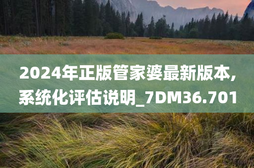 2024年正版管家婆最新版本,系统化评估说明_7DM36.701