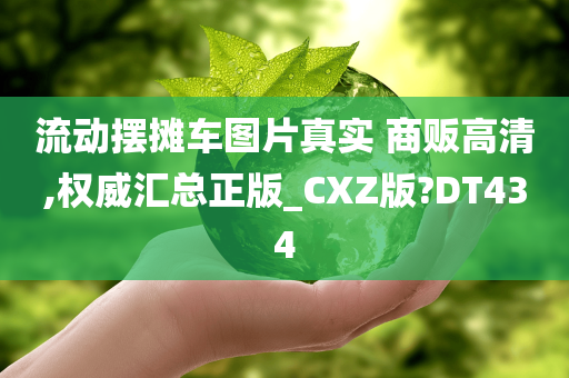 流动摆摊车图片真实 商贩高清,权威汇总正版_CXZ版?DT434