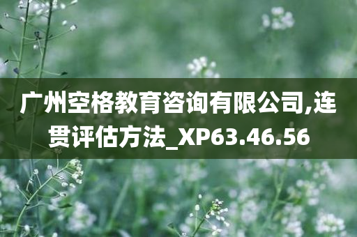 广州空格教育咨询有限公司,连贯评估方法_XP63.46.56