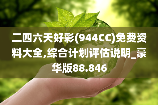 二四六天好彩(944CC)免费资料大全,综合计划评估说明_豪华版88.846