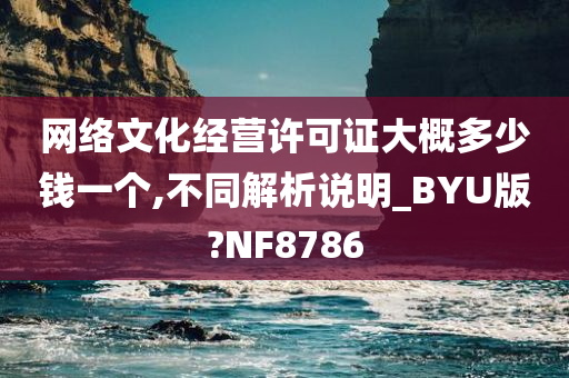 网络文化经营许可证大概多少钱一个,不同解析说明_BYU版?NF8786