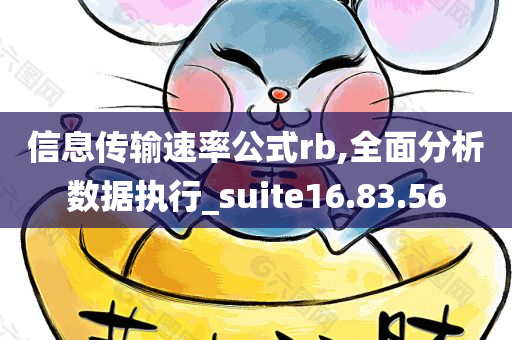 信息传输速率公式rb,全面分析数据执行_suite16.83.56