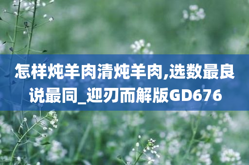 怎样炖羊肉清炖羊肉,选数最良说最同_迎刃而解版GD676