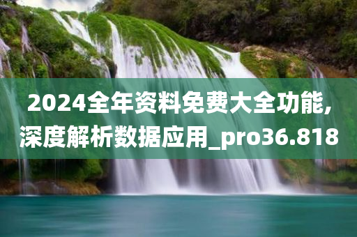 2024全年资料免费大全功能,深度解析数据应用_pro36.818