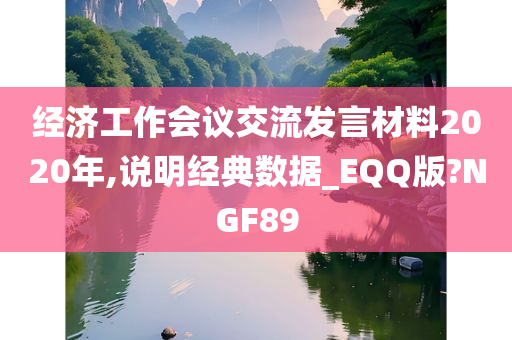 经济工作会议交流发言材料2020年,说明经典数据_EQQ版?NGF89