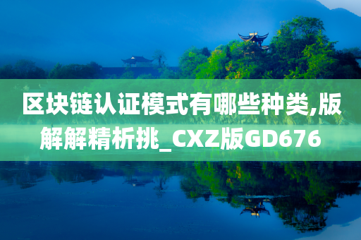 区块链认证模式有哪些种类,版解解精析挑_CXZ版GD676