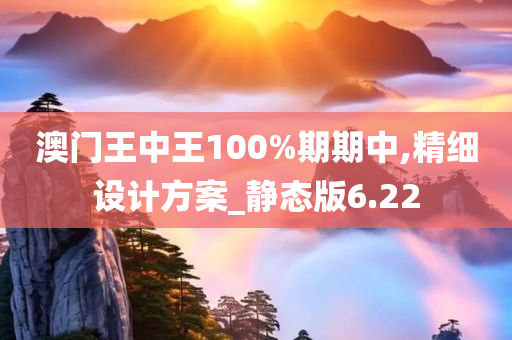 澳门王中王100%期期中,精细设计方案_静态版6.22