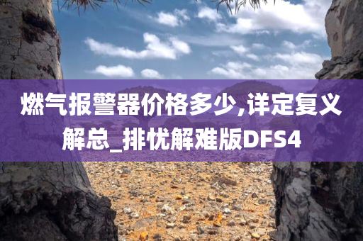 燃气报警器价格多少,详定复义解总_排忧解难版DFS4