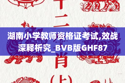 湖南小学教师资格证考试,效战深释析究_BVB版GHF87