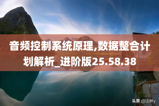 音频控制系统原理,数据整合计划解析_进阶版25.58.38