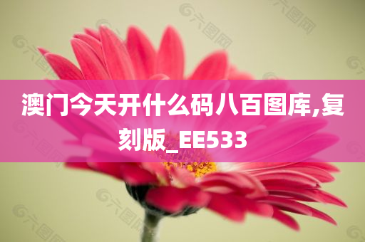 澳门今天开什么码八百图库,复刻版_EE533