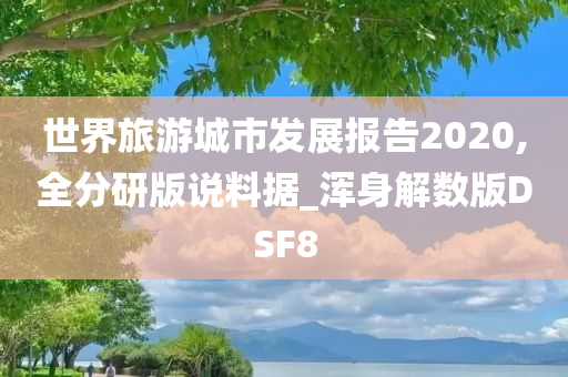 世界旅游城市发展报告2020,全分研版说料据_浑身解数版DSF8