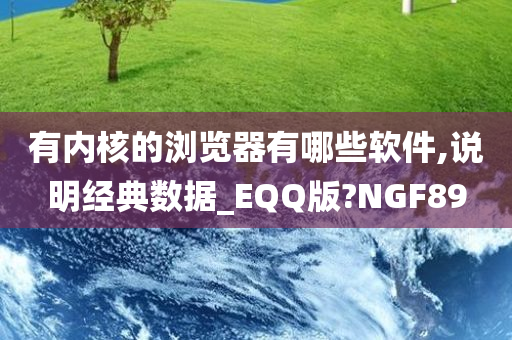 有内核的浏览器有哪些软件,说明经典数据_EQQ版?NGF89