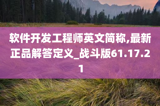 软件开发工程师英文简称,最新正品解答定义_战斗版61.17.21