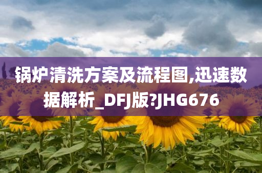 锅炉清洗方案及流程图,迅速数据解析_DFJ版?JHG676