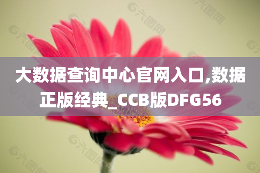 大数据查询中心官网入口,数据正版经典_CCB版DFG56