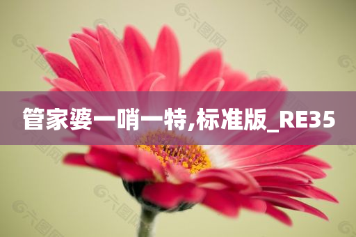 管家婆一哨一特,标准版_RE35