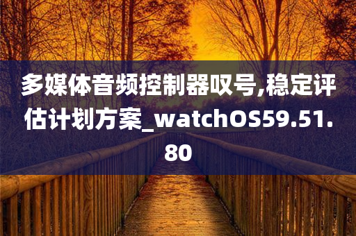 多媒体音频控制器叹号,稳定评估计划方案_watchOS59.51.80