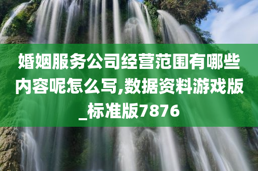 婚姻服务公司经营范围有哪些内容呢怎么写,数据资料游戏版_标准版7876