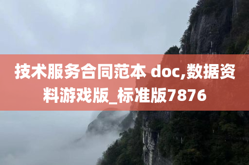 技术服务合同范本 doc,数据资料游戏版_标准版7876