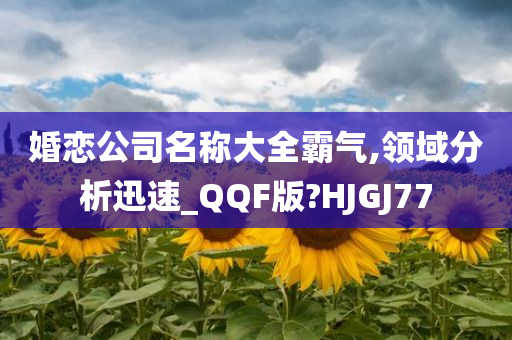 婚恋公司名称大全霸气,领域分析迅速_QQF版?HJGJ77