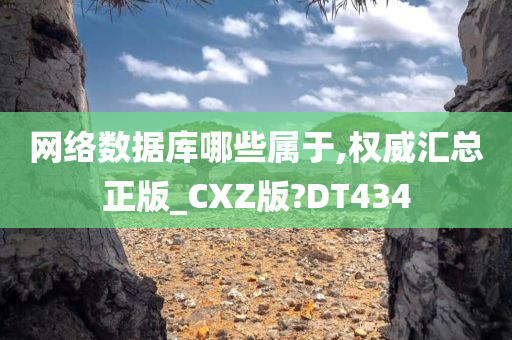 网络数据库哪些属于,权威汇总正版_CXZ版?DT434