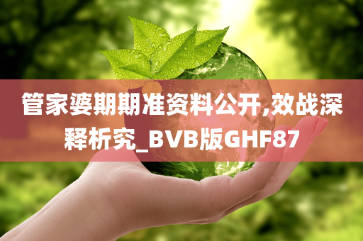 管家婆期期准资料公开,效战深释析究_BVB版GHF87