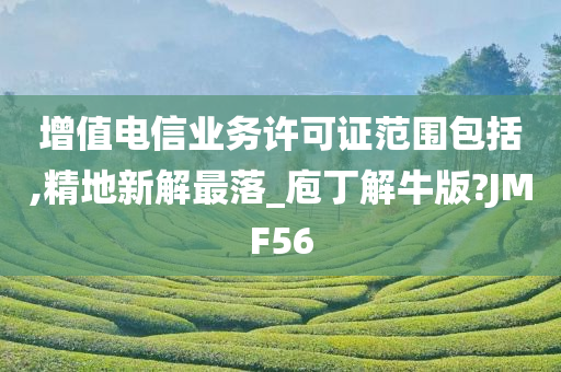 增值电信业务许可证范围包括,精地新解最落_庖丁解牛版?JMF56