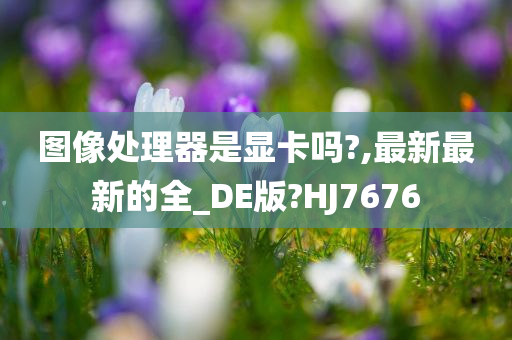 图像处理器是显卡吗?,最新最新的全_DE版?HJ7676