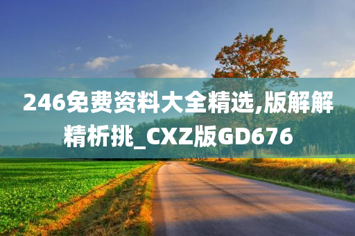 246免费资料大全精选,版解解精析挑_CXZ版GD676