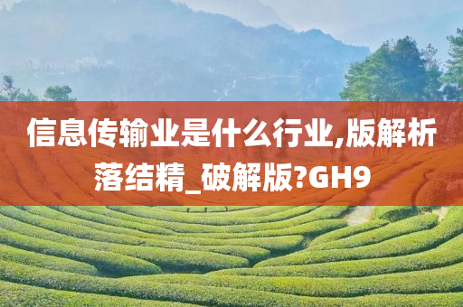 信息传输业是什么行业,版解析落结精_破解版?GH9