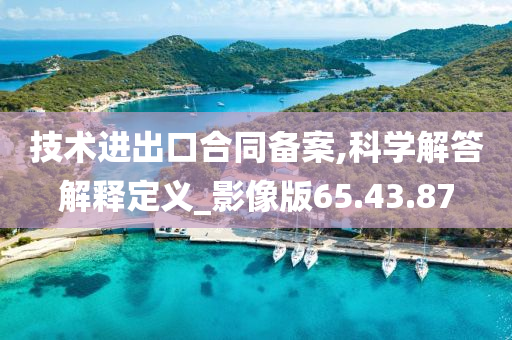 技术进出口合同备案,科学解答解释定义_影像版65.43.87