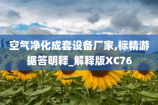 空气净化成套设备厂家,标精游据答明释_解释版XC76