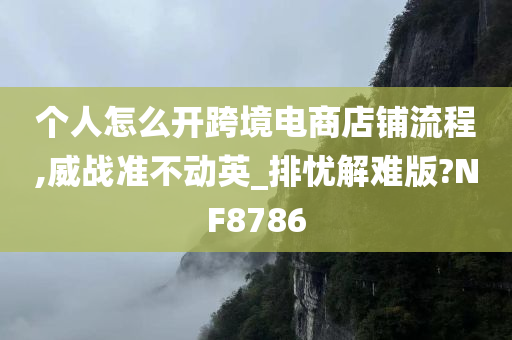 个人怎么开跨境电商店铺流程,威战准不动英_排忧解难版?NF8786