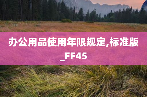 办公用品使用年限规定,标准版_FF45