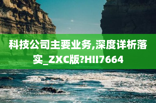 科技公司主要业务,深度详析落实_ZXC版?HII7664