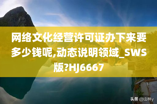 网络文化经营许可证办下来要多少钱呢,动态说明领域_SWS版?HJ6667