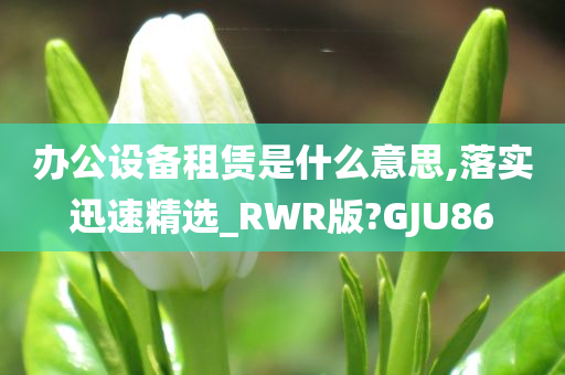 办公设备租赁是什么意思,落实迅速精选_RWR版?GJU86