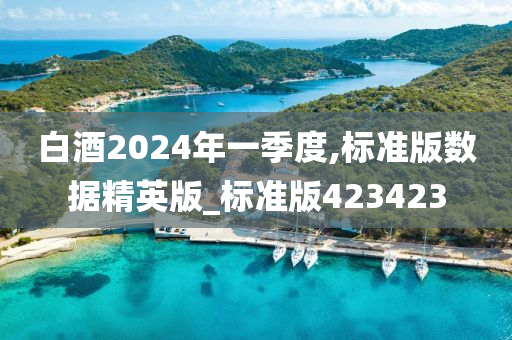 白酒2024年一季度,标准版数据精英版_标准版423423